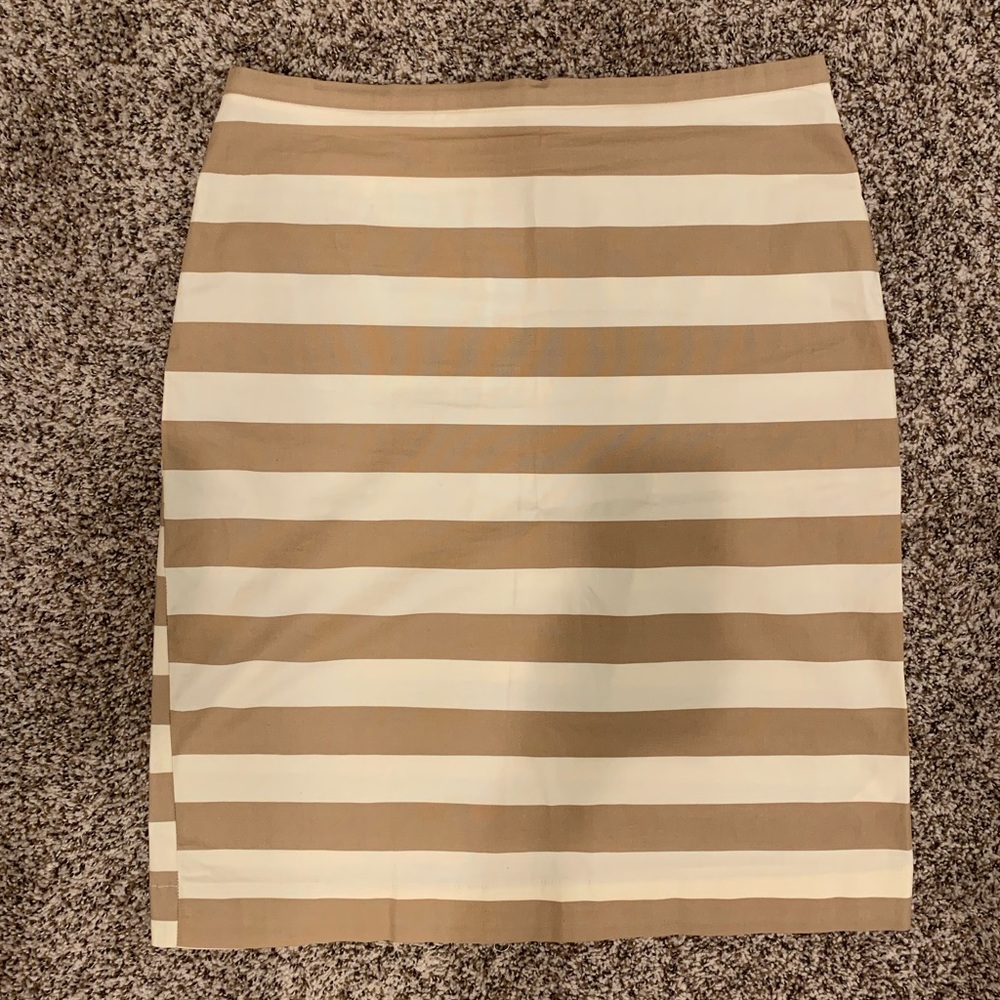 Striped Pencil Skirt with Back Zipper Detail